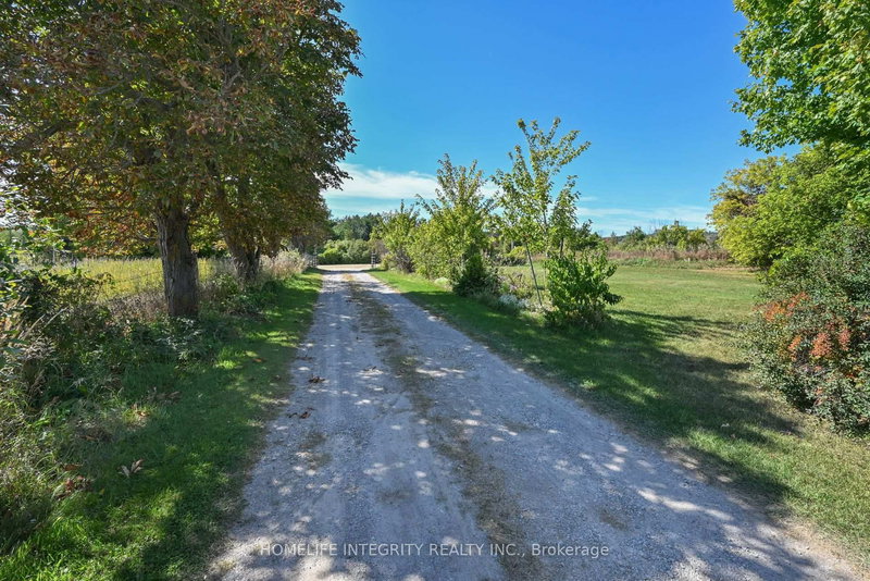 995305 Mono Adjala Townline, Adjala-Tosorontio, L9R 1V1 | Image 2