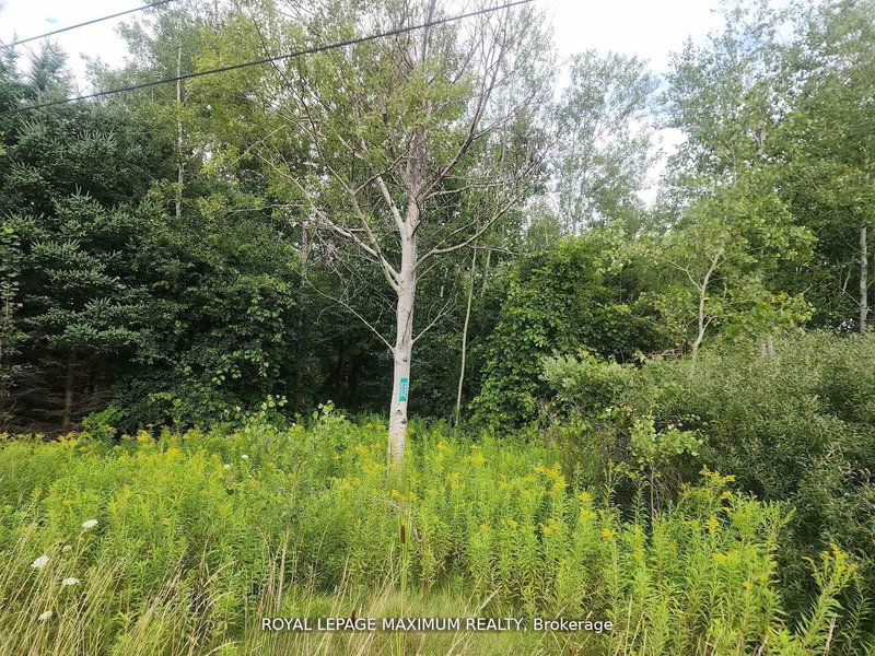 20223 Bathurst St, East Gwillimbury, L9N 1N3 | Image 2