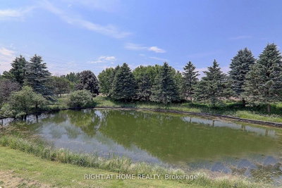 1008 Mount Albert Road — photo 4