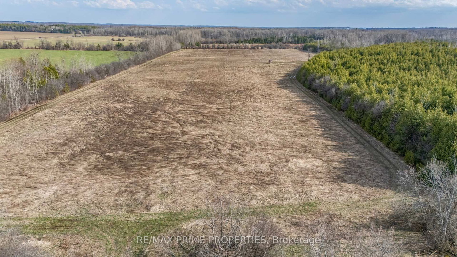 Listing Image 17