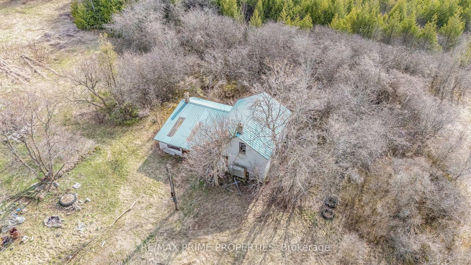 Listing Image 19