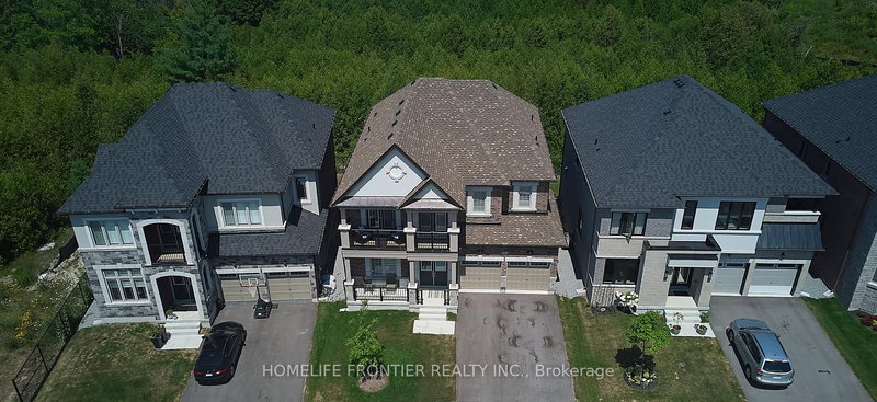 296 Ben Sinclair Ave, East Gwillimbury, L9N 0Z1 | Image 2