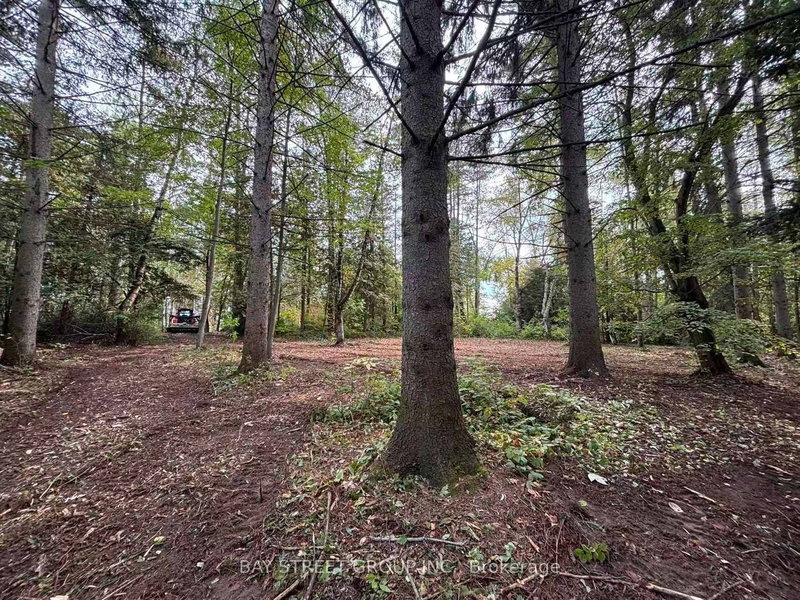 3358 Crescent Harbour Rd, Innisfil, L9S 2Y8 | Image 2