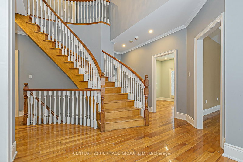 369 Coventry Hill Tr, Newmarket, L3X 2A1 | Image 2