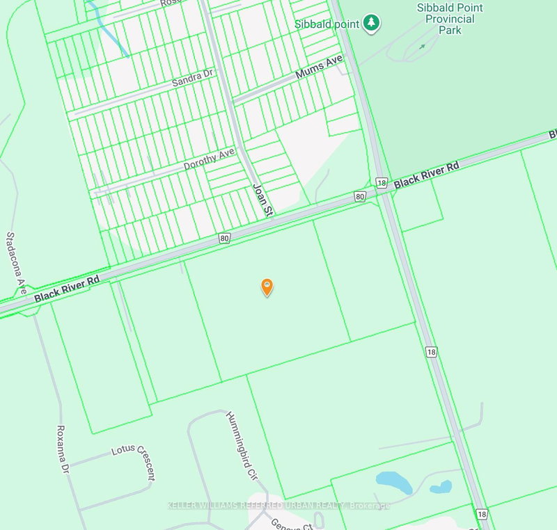 N/A Black River Rd, Georgina, L0E 1R0 | Image 3