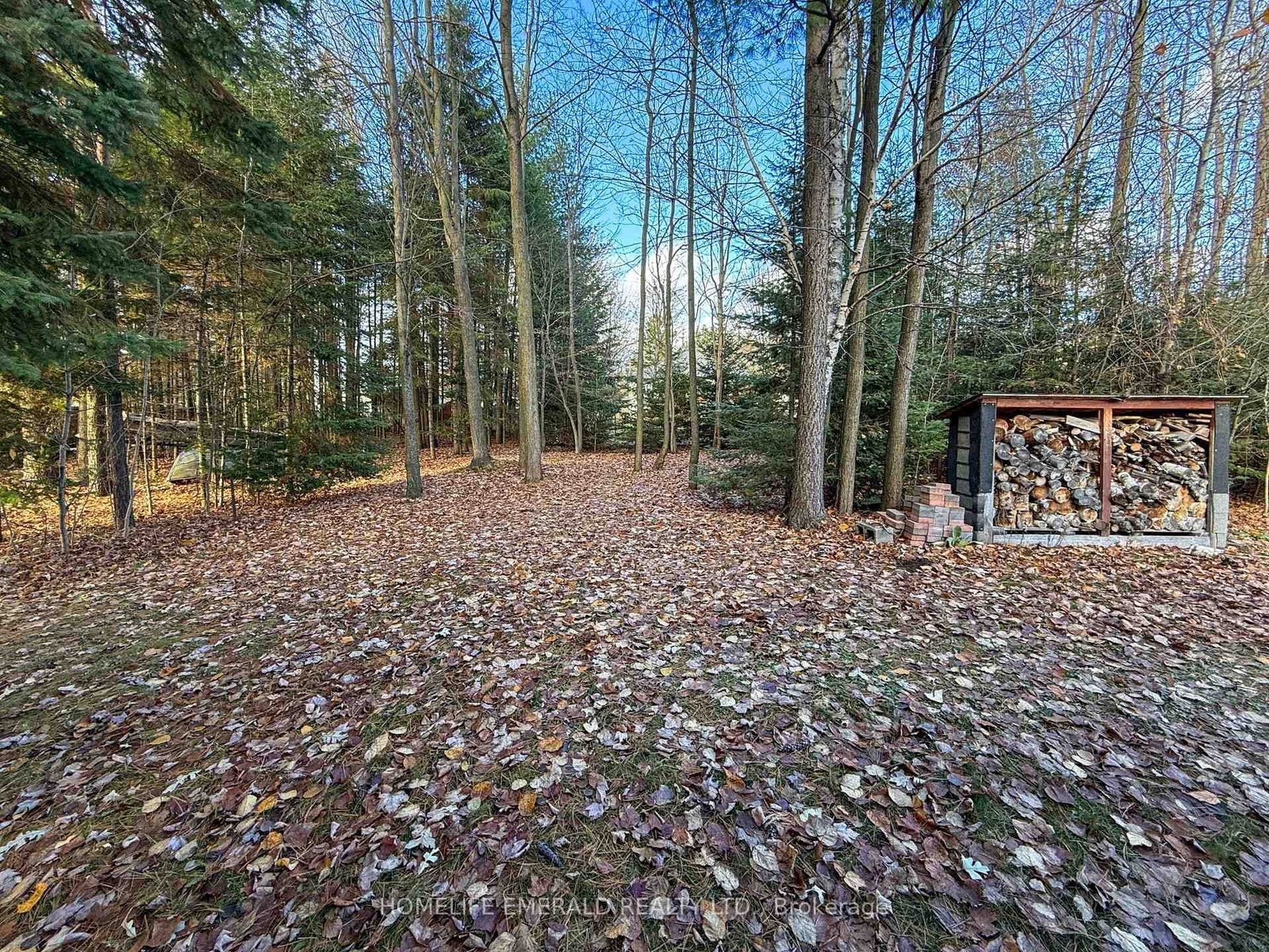 Detached House for sale at 17 Tree Top Street, Essa, Ontario, L0M 1B2 - Angus - MLS: N12585604