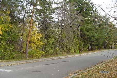 108 Yongehurst Rd, Richmond Hill, L4C3T2 | Image 3