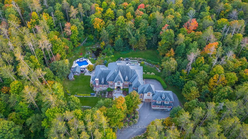 29 Moraine Forest Tr, Whitchurch-Stouffville, L4A 7X5 | Image 3