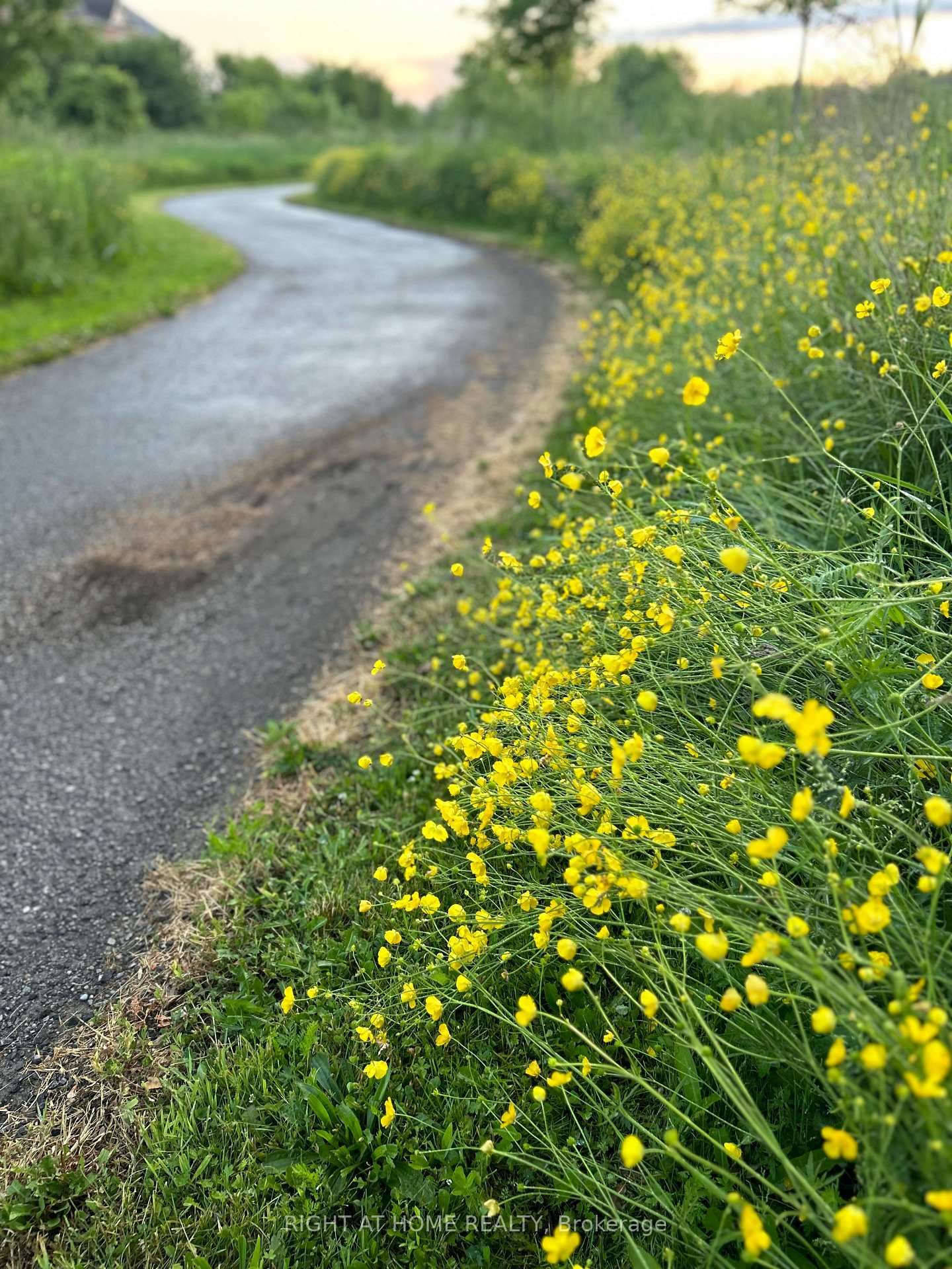39 John Davis G John Davis Gate W, Unit Walkout Basement - Photo 32