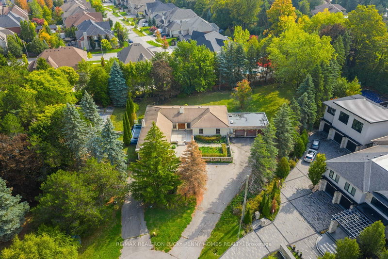 6 Scandia Court