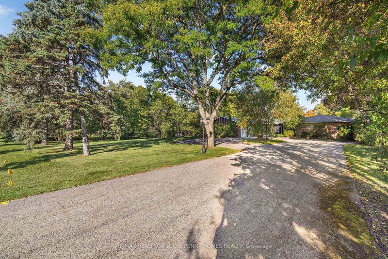 9799 Warden Ave, Markham, L6C 1M6 | Image 3