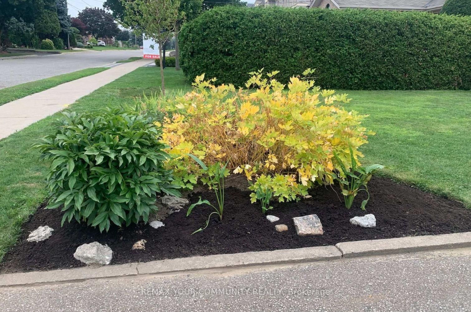 Detached House for sale at 37 Mackay Drive, Richmond Hill, Ontario, L4C 6N9 - South Richvale - MLS: N12750320