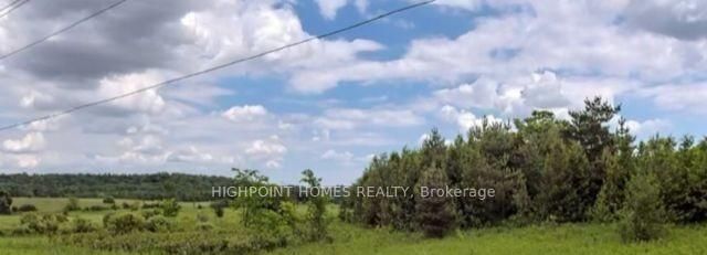 749 Regional Rd photo 5