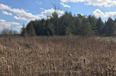 749 Regional Road • Uxbridge, ON photo 8
