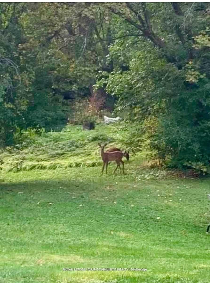 247 Harris Avenue - Photo 26