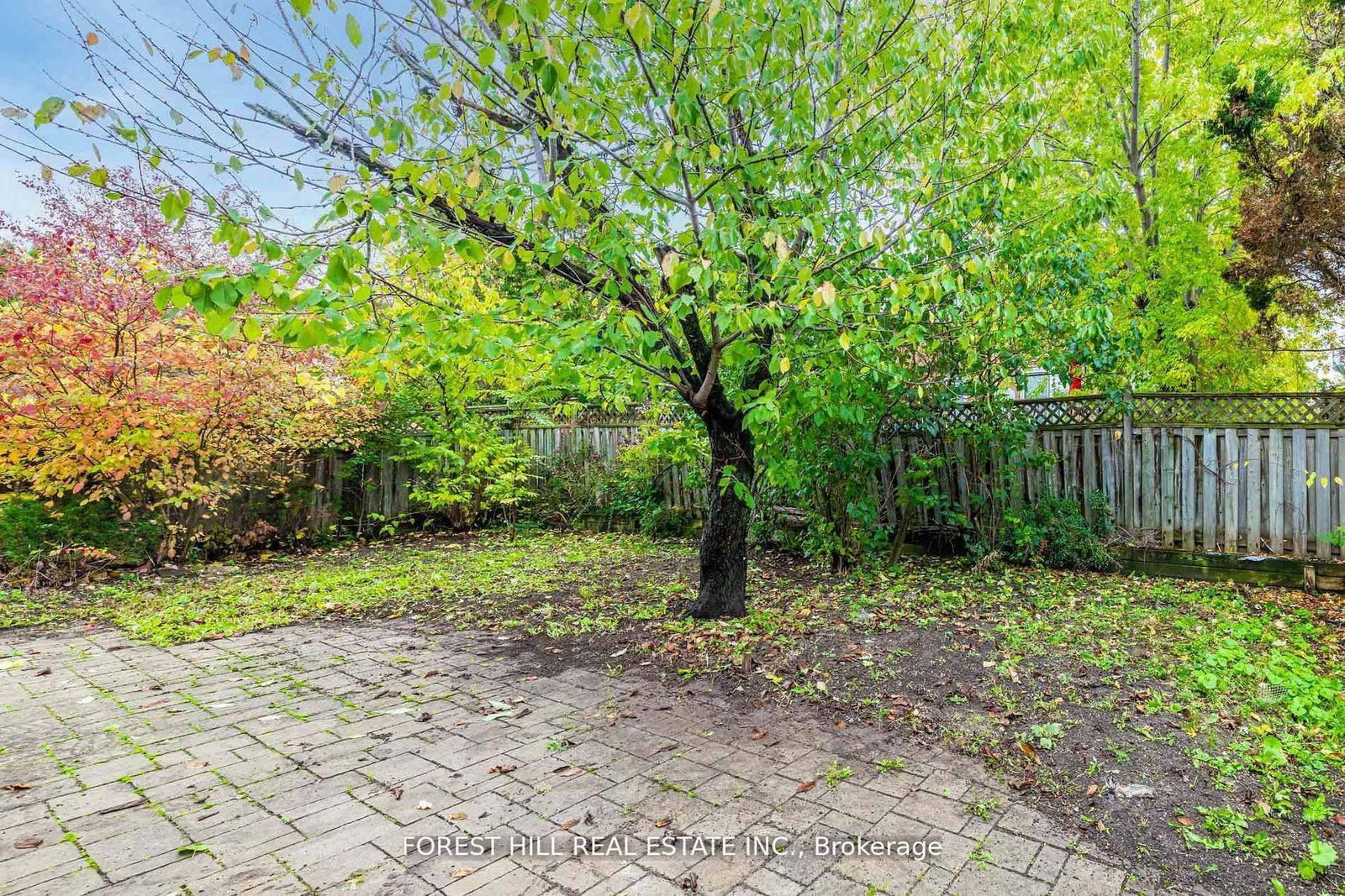 Detached House for sale at 51 Briggs Avenue, Richmond Hill, Ontario, L4B 1N6 - Doncrest - MLS: N12770026