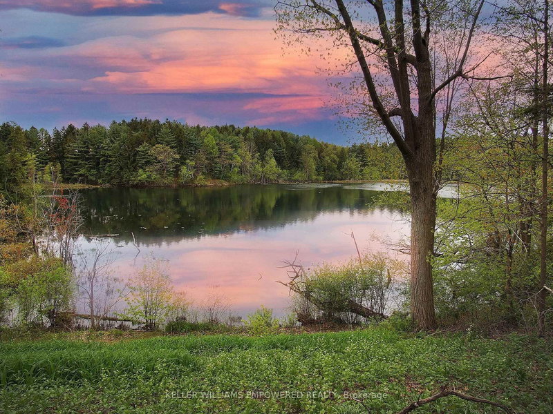 8 Macleod Estate Crt, Richmond Hill, L4E 0B1 | Image 2