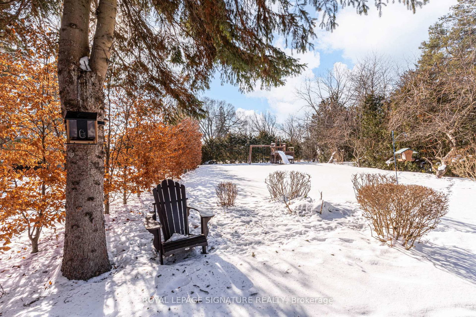 Detached House for sale at 81 Garden Avenue, Richmond Hill, Ontario, L4C 6L6 - South Richvale - MLS: N12810890