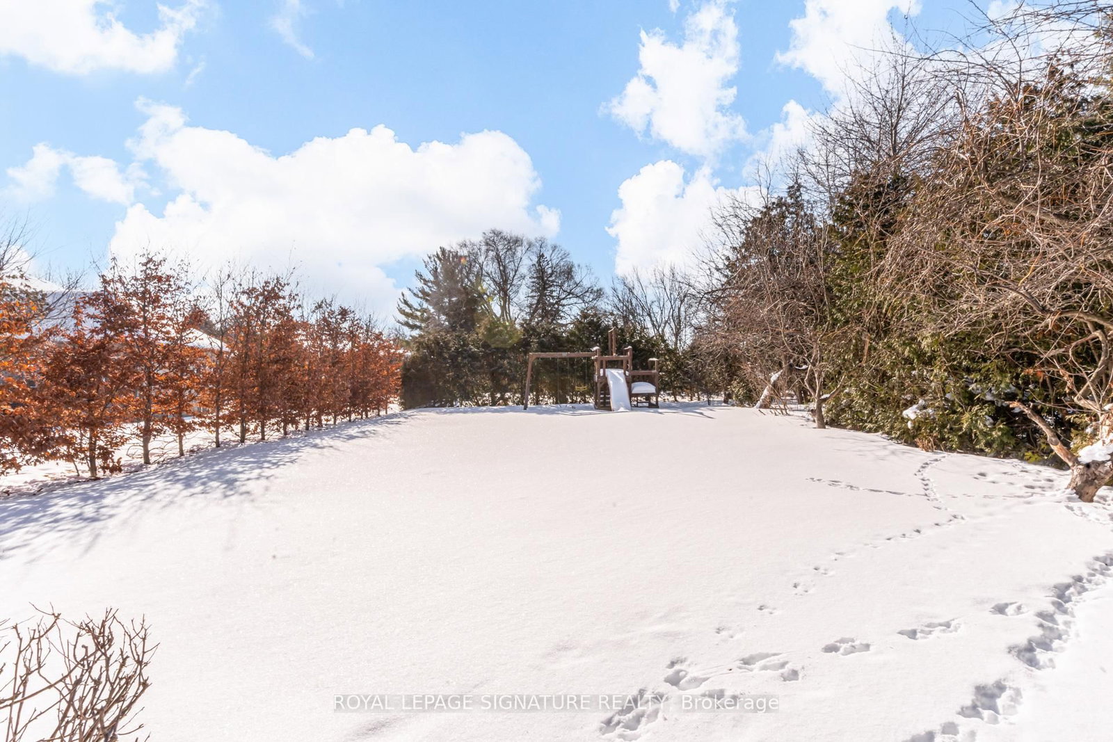 Detached House for sale at 81 Garden Avenue, Richmond Hill, Ontario, L4C 6L6 - South Richvale - MLS: N12810890