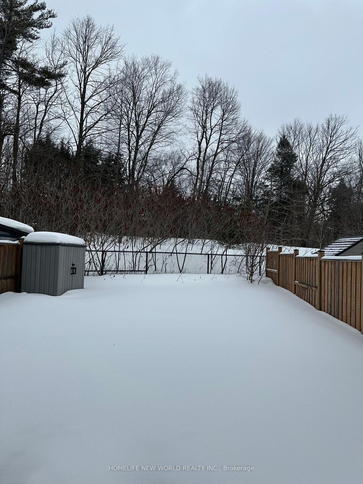 Detached House for sale at 208 Hunting Ridges Drive, Richmond Hill, Ontario, L4E 4K6 - Jefferson - MLS: N12811244