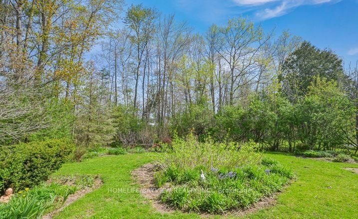 Basement - 45 French Cres, East Gwillimbury, L9N 1J8 | Image 3