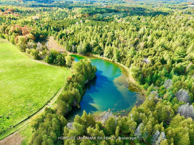 5031 Herald Rd, East Gwillimbury, L0G 1M0 | Image 2