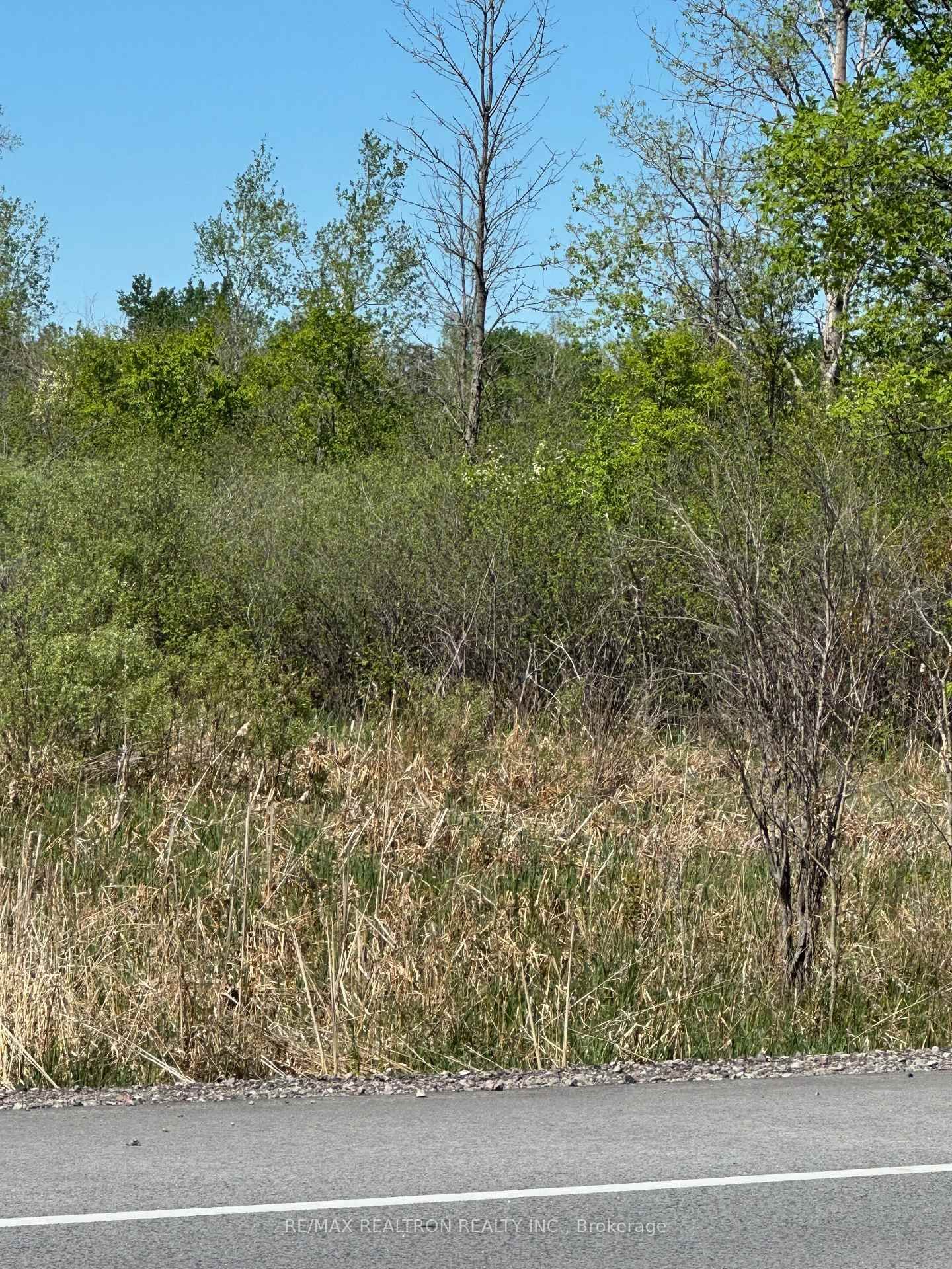 CON 7 PT LT 1 Ravenshoe Road • Georgina, ON photo 9