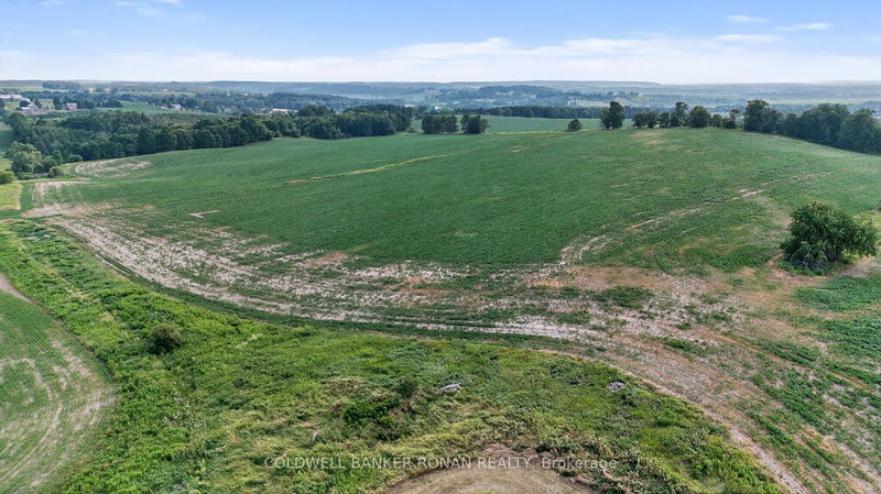 4495 Line 11, Bradford West Gwillimbury — 16