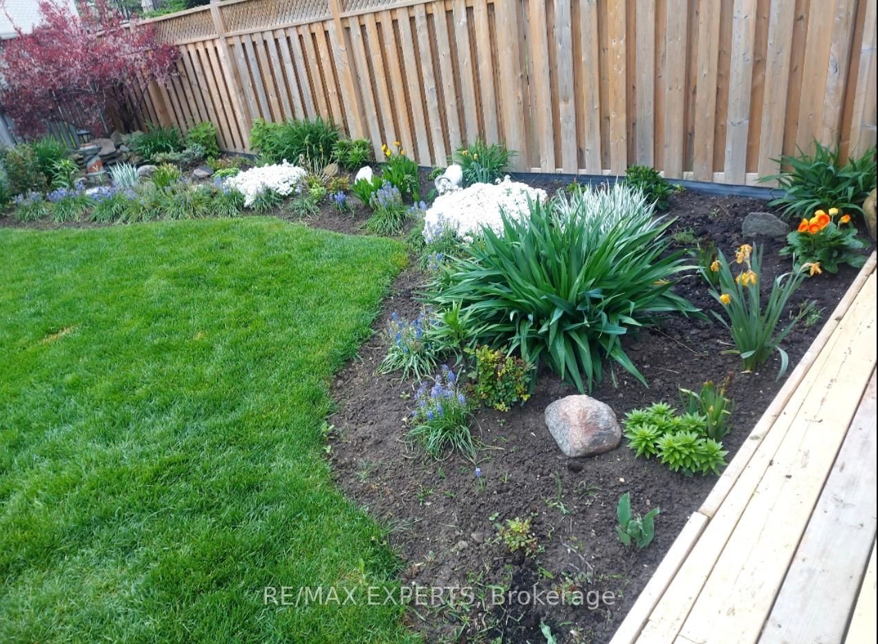 Semi-Detached House for sale at 75 Corkwood Crescent, Vaughan, Ontario, L6A 3B4 - Maple - MLS: N12839634