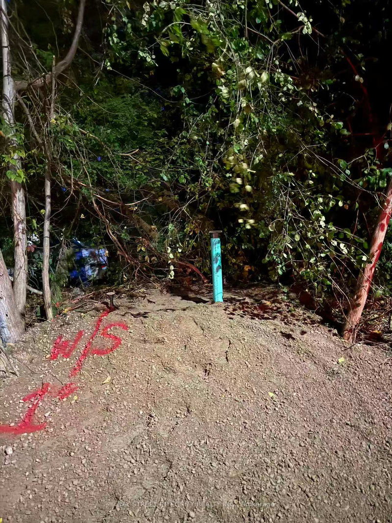 27 Thompson Dr, Georgina, L0E 1L0 | Image 3