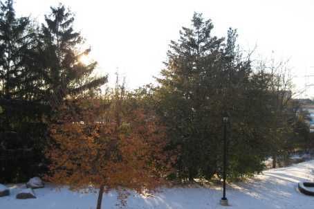 614 - 7373 Martin Grove Rd, Vaughan, L4L1A5 | Image 3