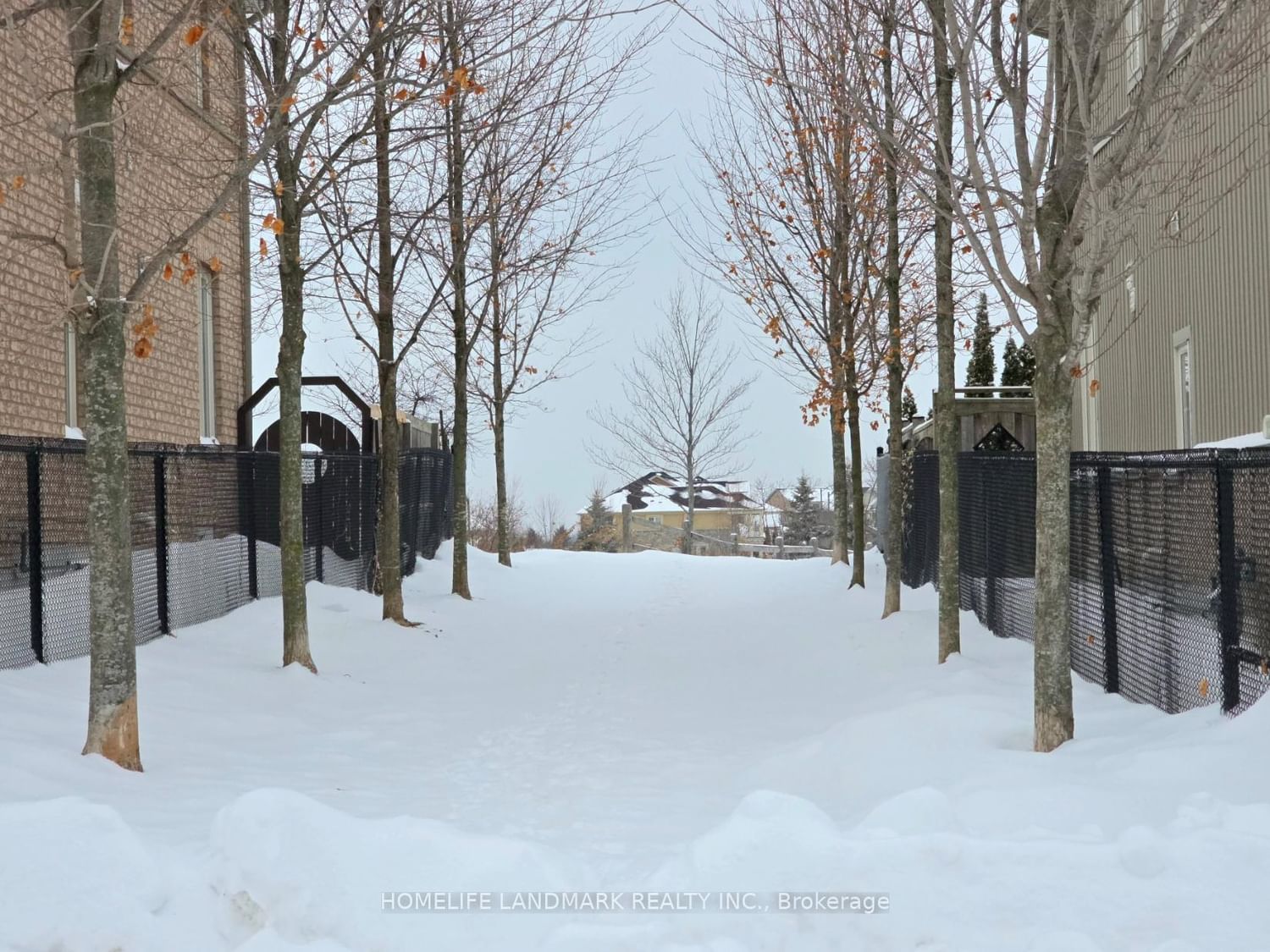 Detached House for sale at 41 Mansard Drive, Richmond Hill, Ontario, L4E 0L7 - Jefferson - MLS: N12871020