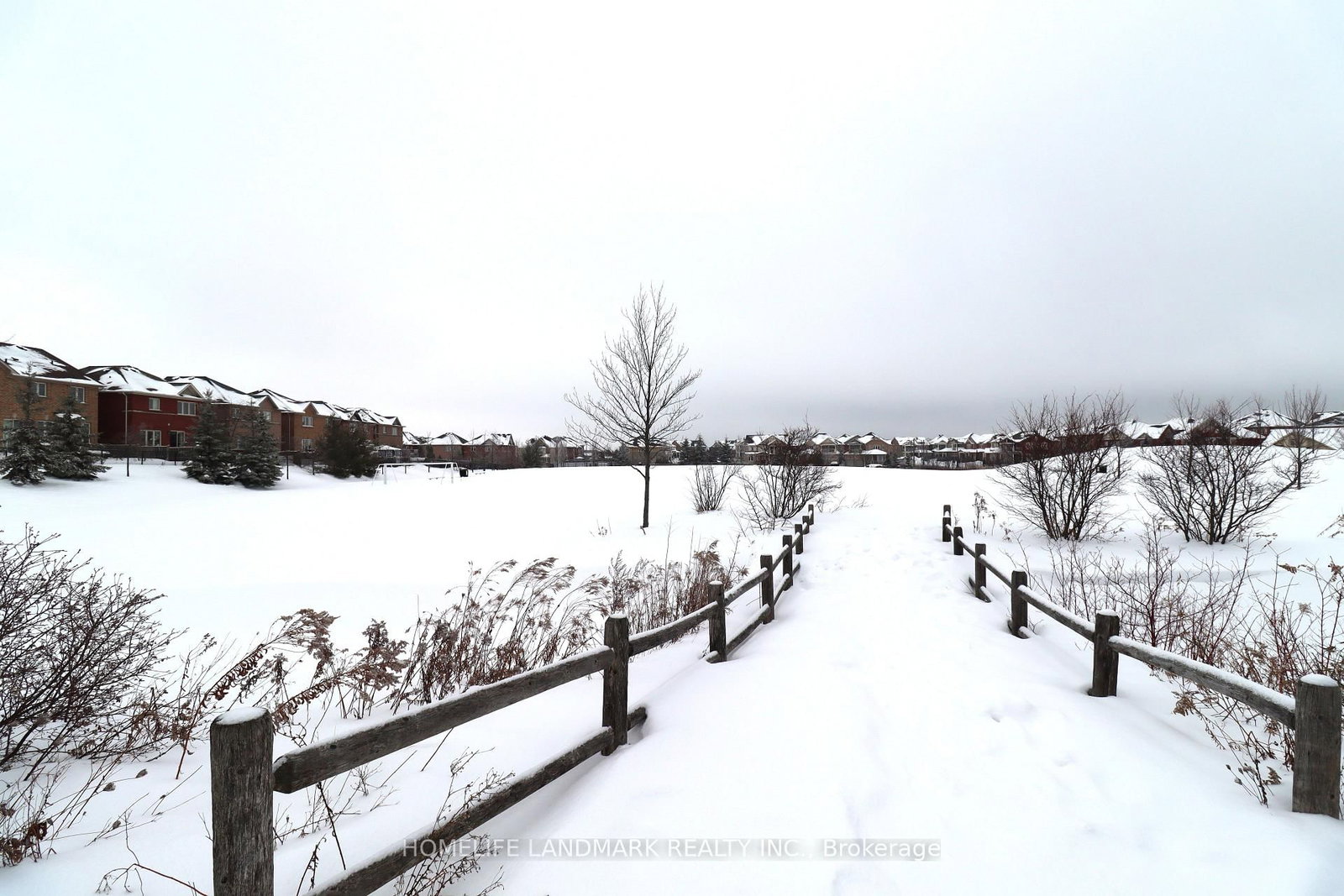 Detached House for sale at 41 Mansard Drive, Richmond Hill, Ontario, L4E 0L7 - Jefferson - MLS: N12871020