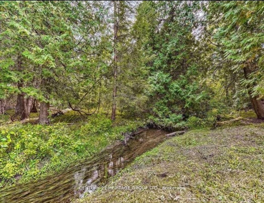 Detached House for sale at 7670 19th Sideroad, King, Ontario, L0G 1T0 - Rural King - MLS: N12873532