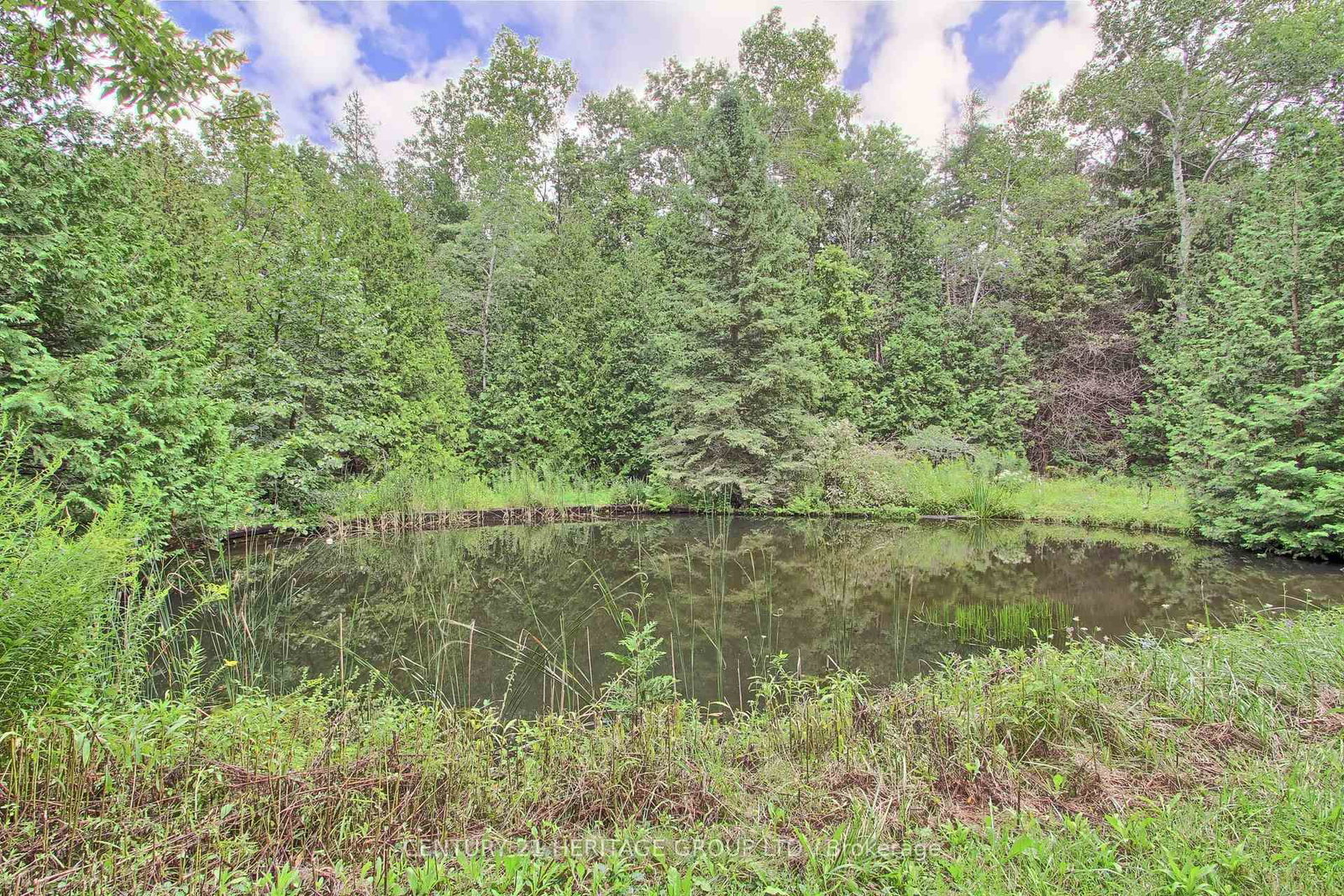 Detached House for sale at 7670 19th Sideroad, King, Ontario, L0G 1T0 - Rural King - MLS: N12873532