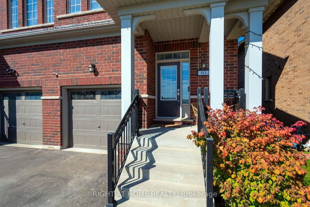 80 Martin Trail