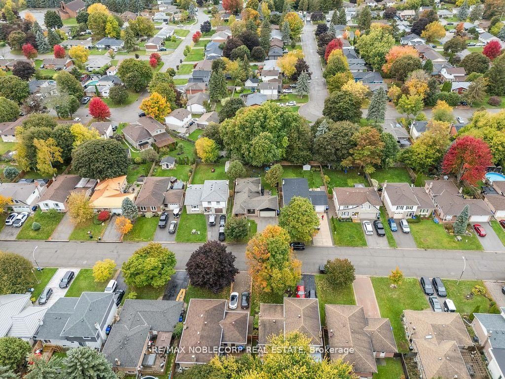 Detached House for sale at 42 Mitchell Avenue, New Tecumseth, Ontario, L9R 1C2 - Alliston - MLS: N12878562