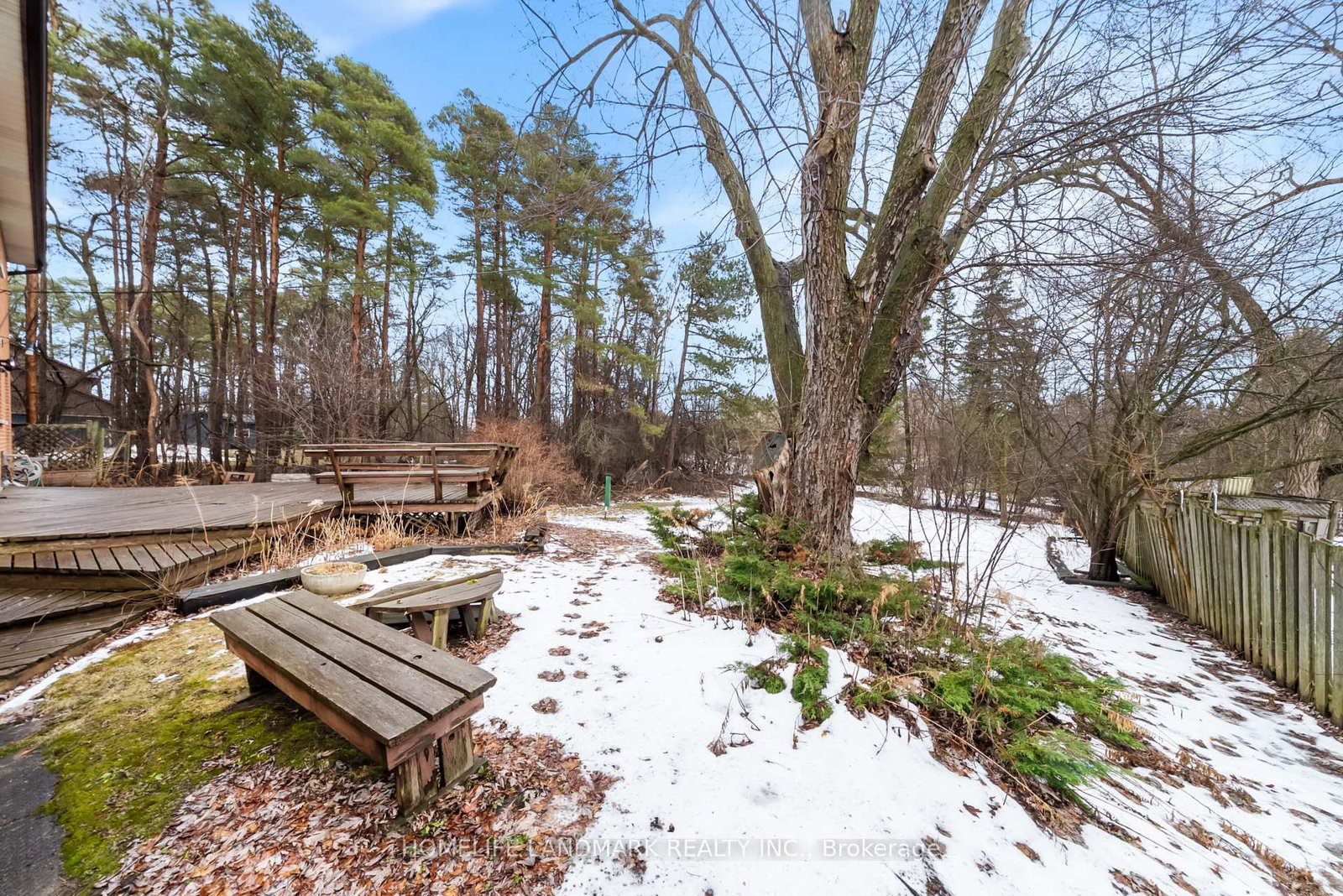 Detached House for sale at 36 Cynthia Crescent, Richmond Hill, Ontario, L4E 2R1 - Oak Ridges - MLS: N12898230