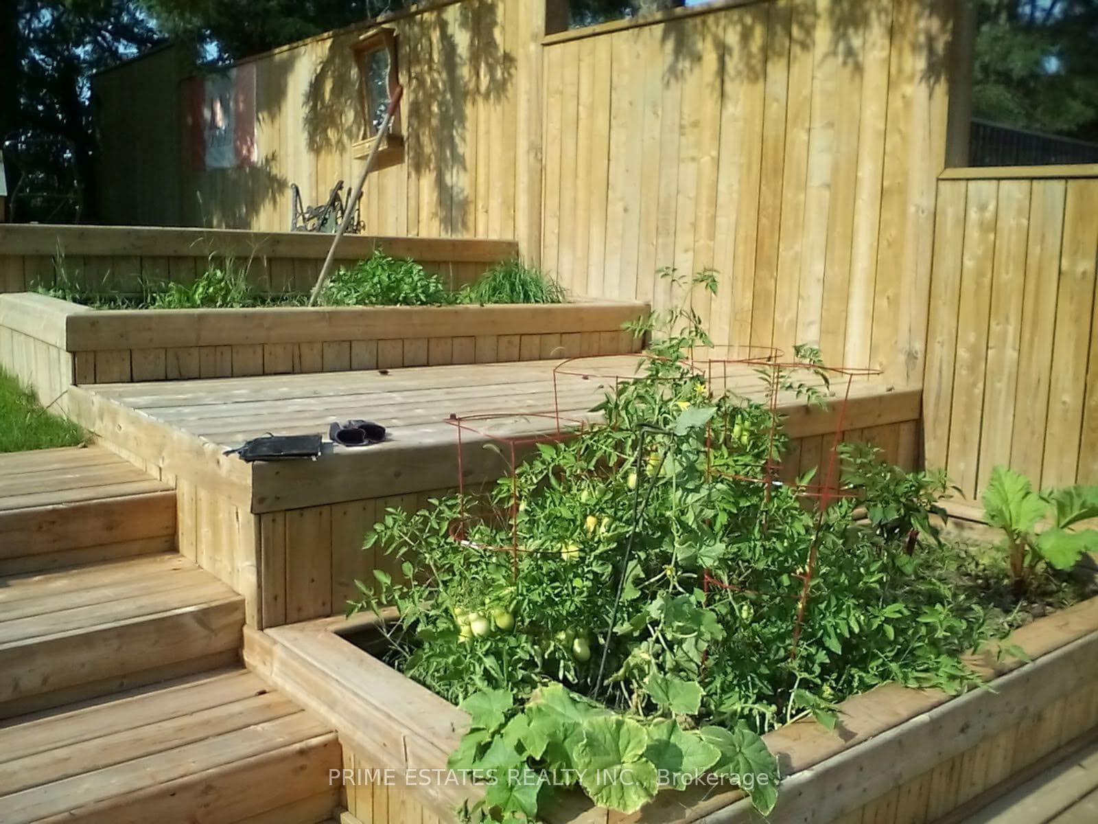 Detached House for sale at 185 Cameron Street, Brock, Ontario, L0E 1E0 - Cannington - MLS: N12902242