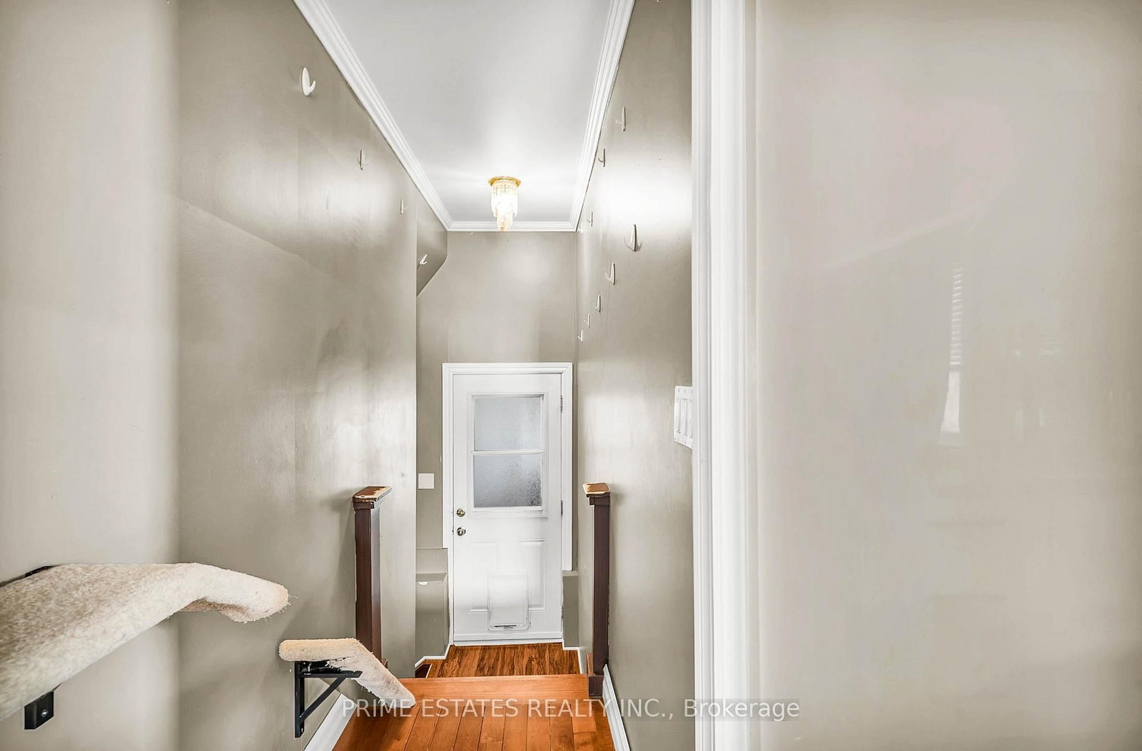 Detached House for sale at 185 Cameron Street, Brock, Ontario, L0E 1E0 - Cannington - MLS: N12902242