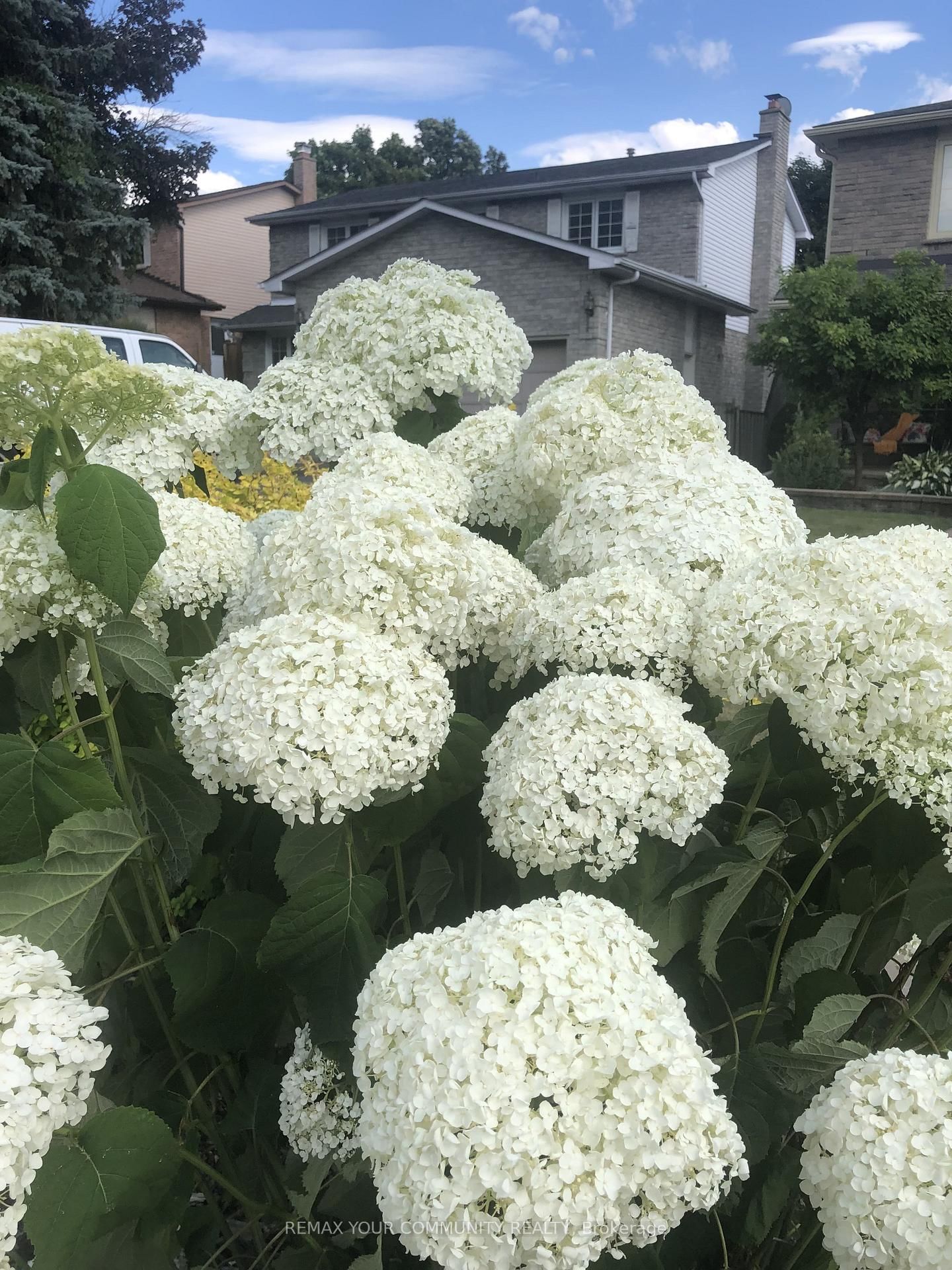 911 Ferndale Crescent - Photo 46