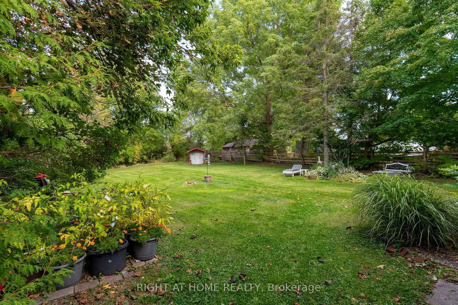 Detached House for sale at 220 Barrie Street, Essa, Ontario, L0L 2N0 - Thornton - MLS: N12913072