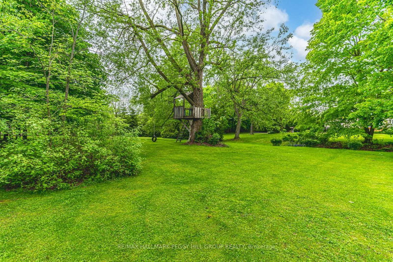 5853 Yonge St, Innisfil, L0L 1K0 | Image 3