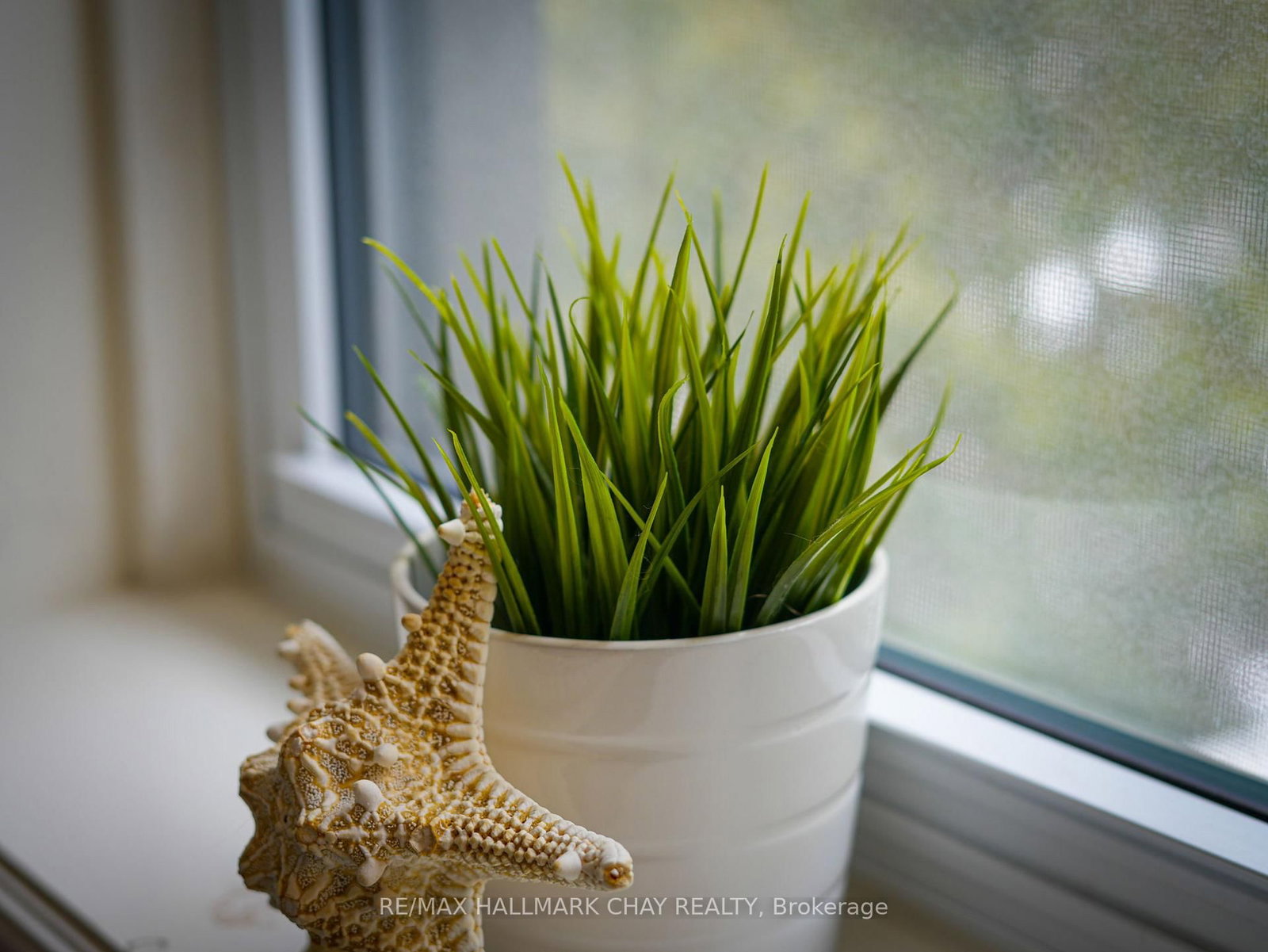 Detached House for sale at 134 Victoria Street, New Tecumseth, Ontario, L9R 1K6 - Alliston - MLS: N12921454