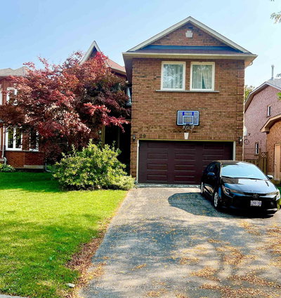 Basement - 29 Estoril St | Richmond Hill | Image