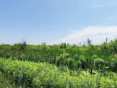 20200 Highway 48 undefined | East Gwillimbury | Image