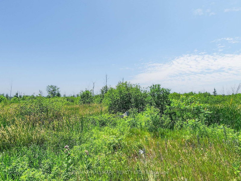 20200 Highway 48, East Gwillimbury, L0G 1M0 | Image 2