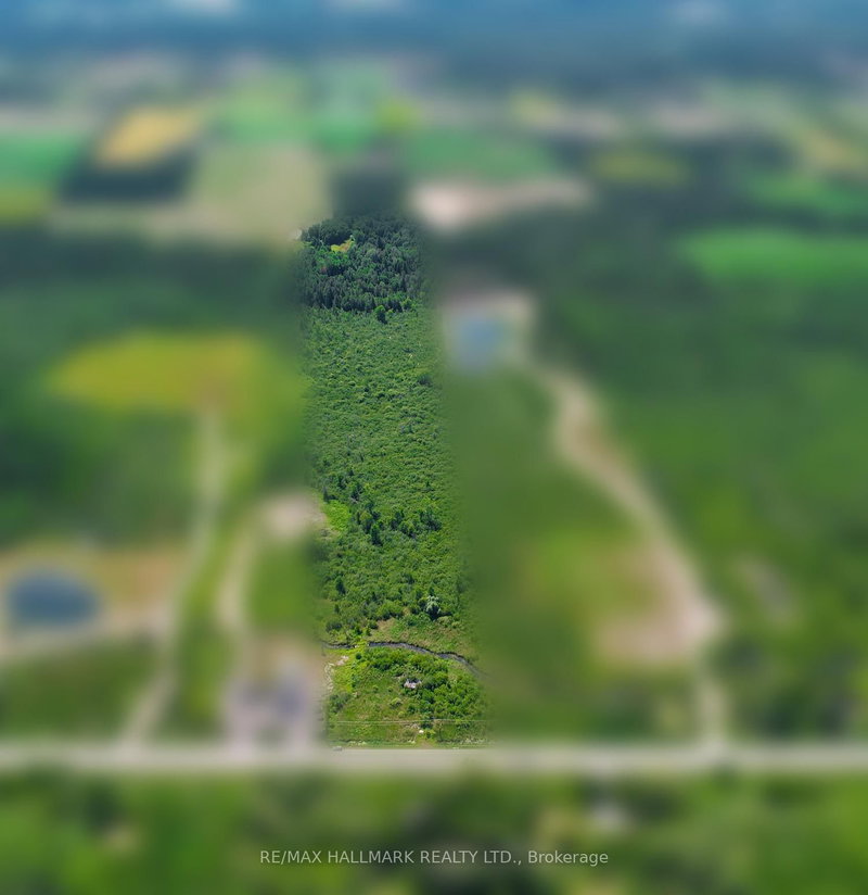 20200 Highway 48, East Gwillimbury, L0G 1M0 | Image 3
