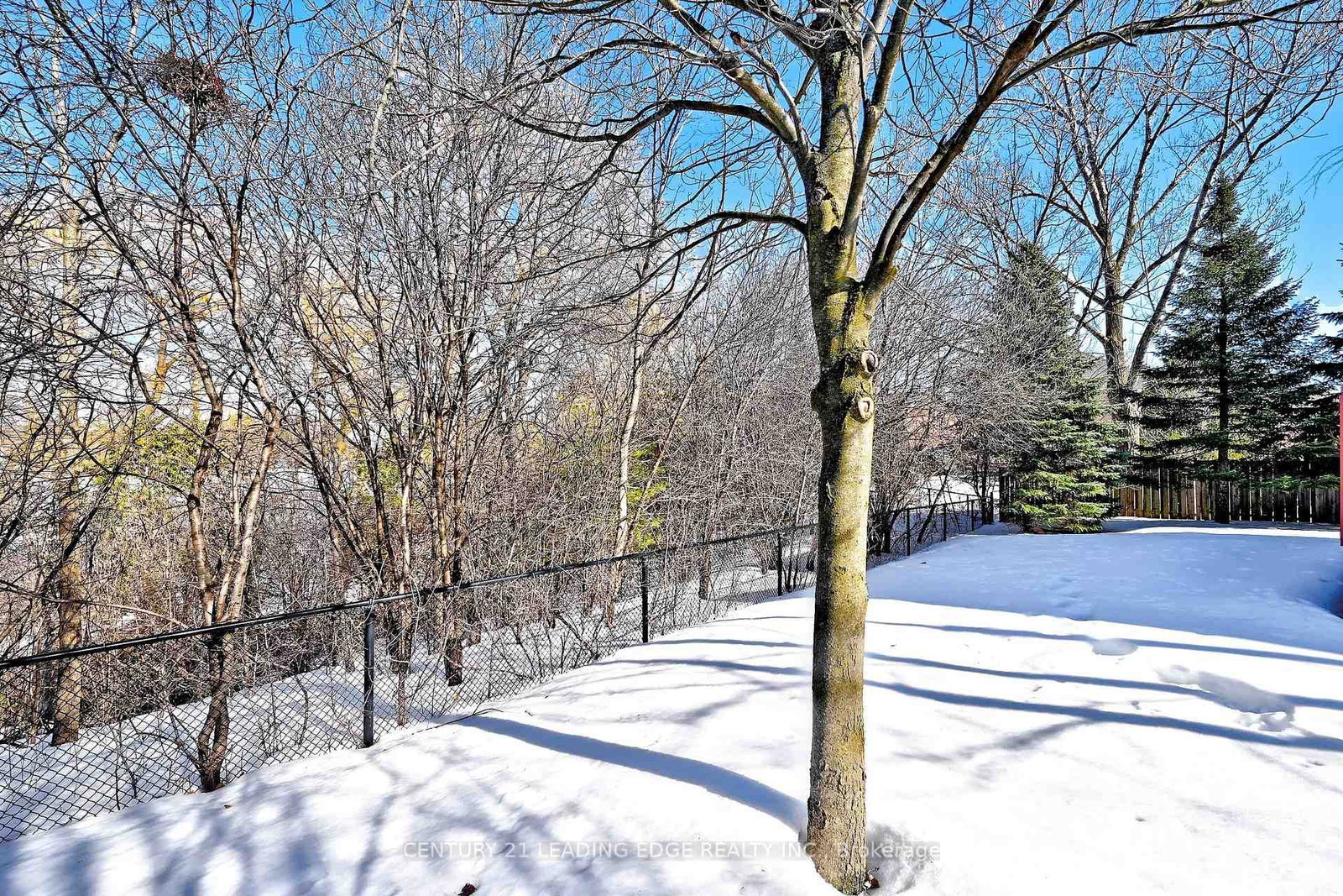 Detached House for sale at 34 Pandora Court, Richmond Hill, Ontario, L4S 1J4 - Devonsleigh - MLS: N12929488