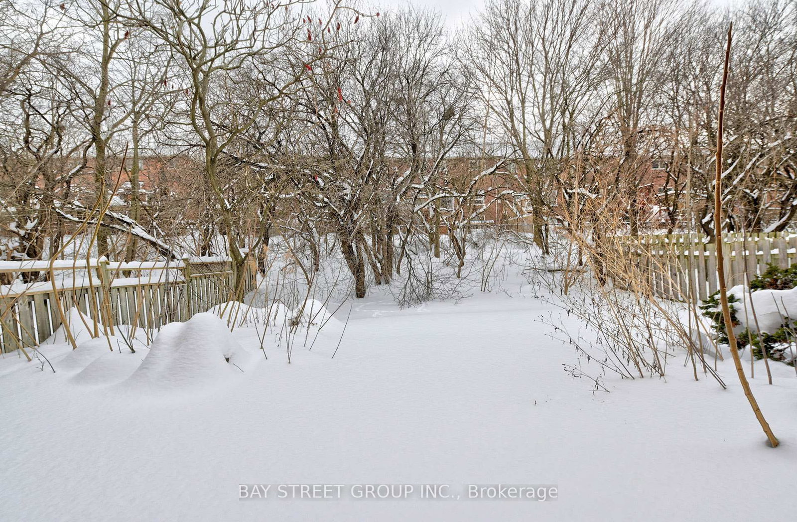 Detached House for sale at 43 English Oak Drive, Richmond Hill, Ontario, L4E 3W2 - Oak Ridges Lake Wilcox - MLS: N12938192